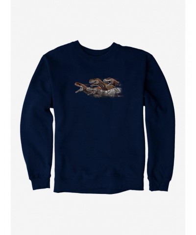 Jurassic World Dominion Atrociraptor Danger Zone Sweatshirt $10.33 Sweatshirts