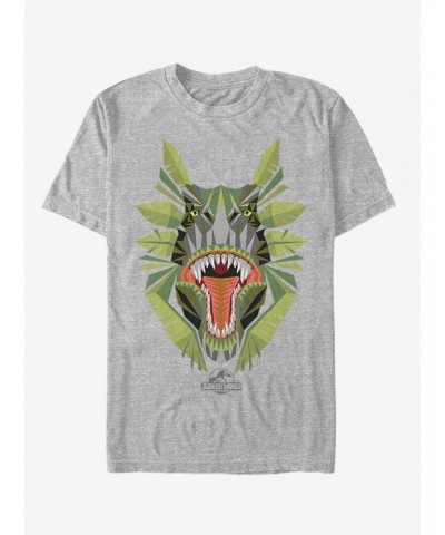 Dinosaur Jungle Grin T-Shirt $5.74 T-Shirts