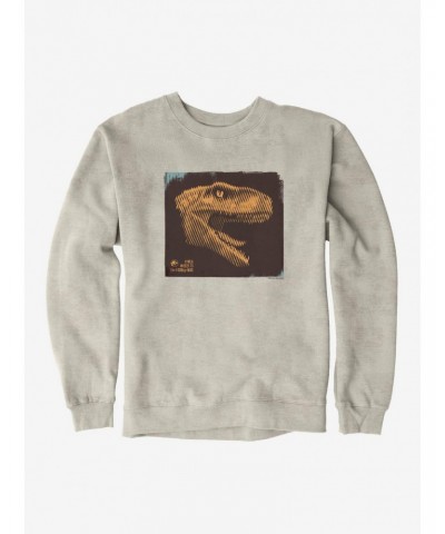 Jurassic World Dominion Atrociraptor Roar Sweatshirt $13.28 Sweatshirts