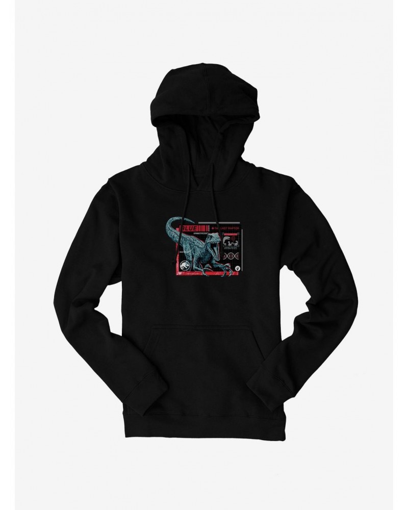 Jurassic World Blue Specs Hoodie $11.14 Hoodies