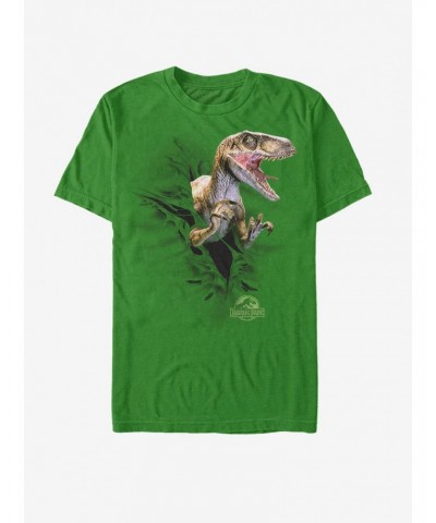 Jurassic Park Raptor Tear T-Shirt $8.03 T-Shirts