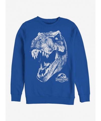 Tyrannosaurus Rex Sweatshirt $13.58 Sweatshirts