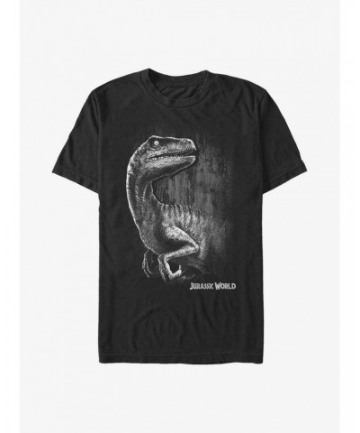 Jurassic Park Raptor Smile Extra Soft T-Shirt $10.29 T-Shirts