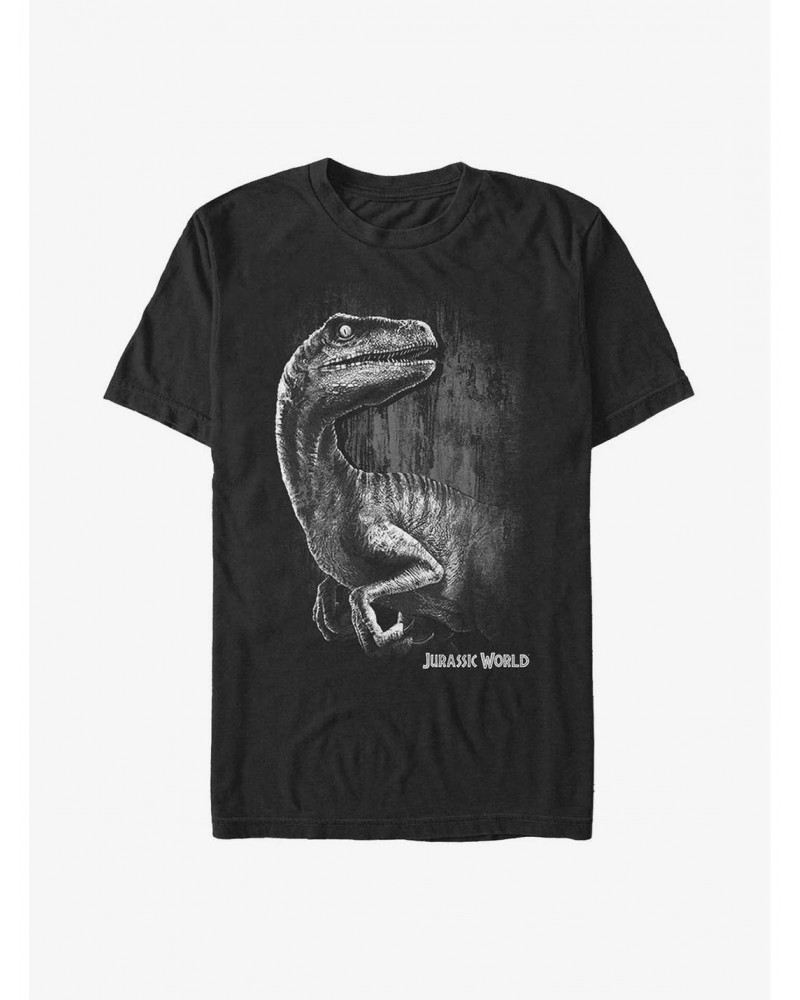 Jurassic Park Raptor Smile Extra Soft T-Shirt $10.29 T-Shirts