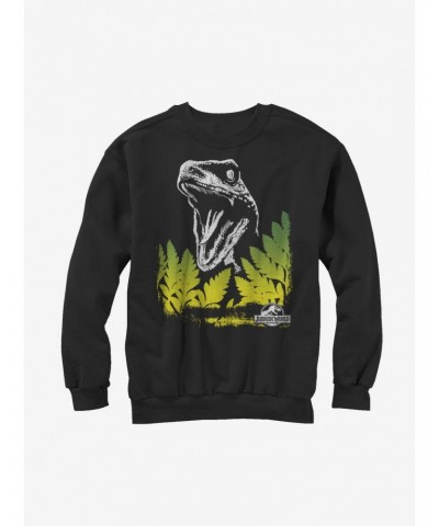 Jurassic World Blue The Velociraptor Surprise Sweatshirt $10.63 Sweatshirts