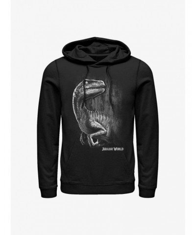 Jurassic World Raptor Smile Hoodie $17.60 Hoodies