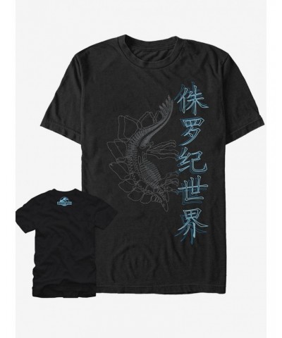 Stegosaurus Japanese Text Fossils T-Shirt $8.99 T-Shirts