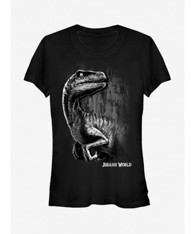 Jurassic World Blue The Velociraptor Girls T-Shirt $8.17 T-Shirts