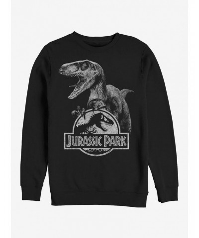 Raptor Logo Sweatshirt $13.58 Sweatshirts