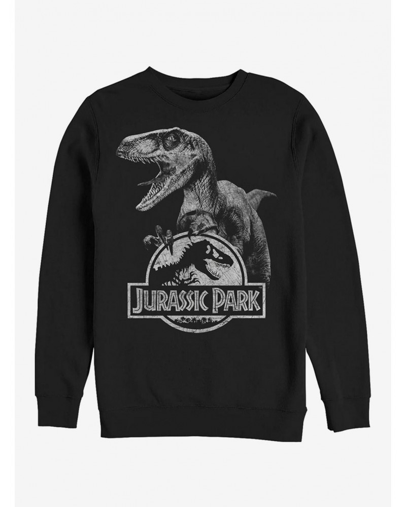 Raptor Logo Sweatshirt $13.58 Sweatshirts